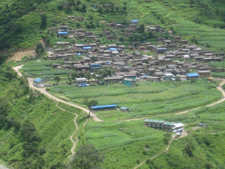उपनिर्वाचनमा नेकपाको विजयी सुरूवात, थवाङमा र कंचनपुर बाट खोल्यो खाता