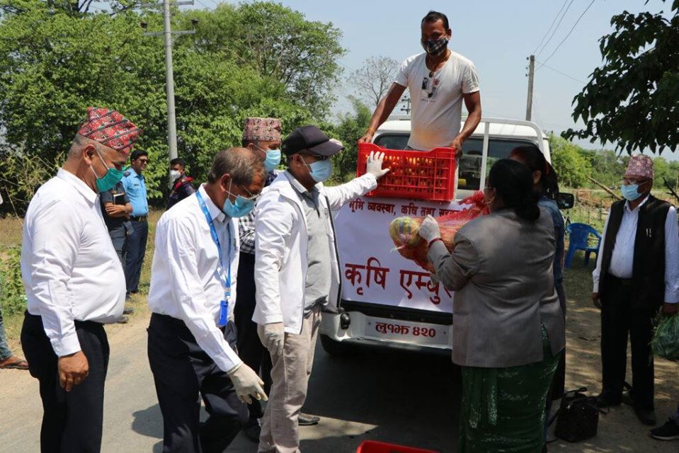 जसलाई कृषकले बिश्वास गरे उहि बिचौलिया निस्कियो