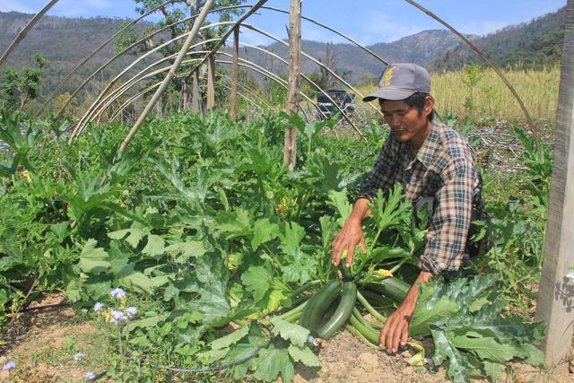 सरकारले कृषिमा २५ प्रतिशत प्रतिफल निश्चित गरिदिने