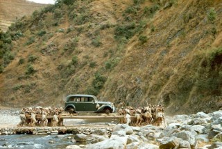 २५ वटा गाडी बाेकेर काठमाडौं भित्र्याउने घलानको निधन