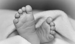 डोजरले फालेको काठले च्यापिएर एक बालिकाको मृत्यु