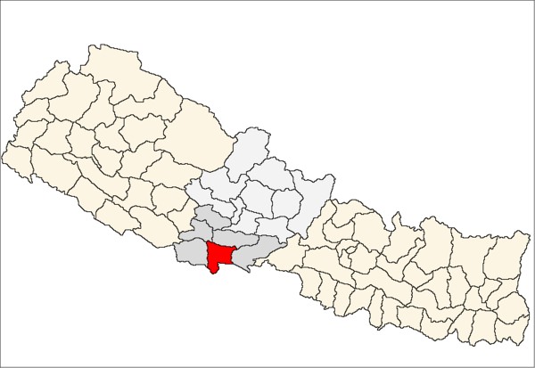 पछिल्लो २४ घण्टामा रुपन्देहीमा ४३८ जना कोरोना संक्रमण मुक्त