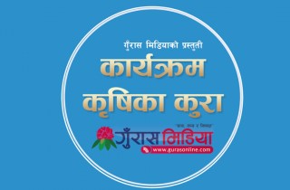 कार्यक्रम :कृषिका कुरा।गुराँस मिडियाको प्रस्तुति।।