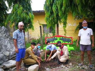 नेपाल स्काउटको ७० औँ स्थापना दिवसको अवसरमा वृक्षारोपण