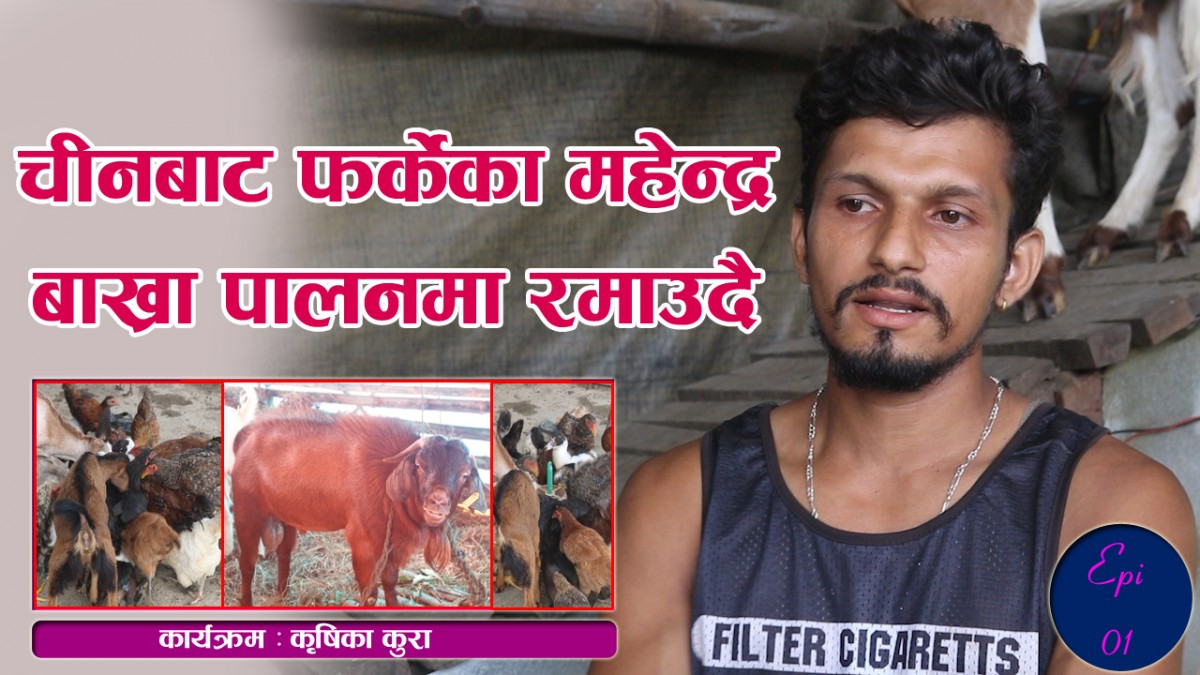 अनुदान दिनै पर्छ भन्ने छैन,स्थानीय तहले कृषि गर्नेलाई प्रोत्साहन मात्रै गरे पुग्छ:महेन्द्र अर्याल
