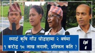 स्मार्ट कृषि गाउँ देवदहमा प्रदेश सरकारको झन्डै १ करोड लगानी,के के उत्पादन भएको छ ??