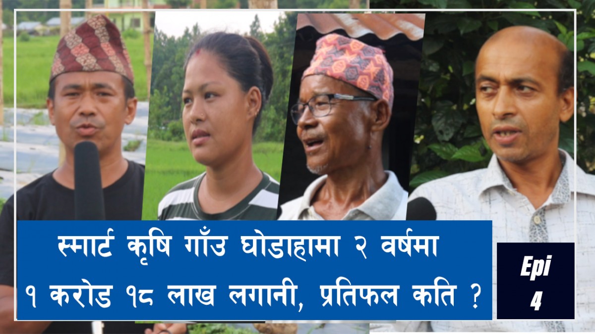 स्मार्ट कृषि गाउँ देवदहमा प्रदेश सरकारको झन्डै १ करोड लगानी,के के उत्पादन भएको छ ??