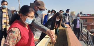 बालकोटमा कौसी खेतीमा रमाउंदै पूर्वप्रधानमन्त्री ओली