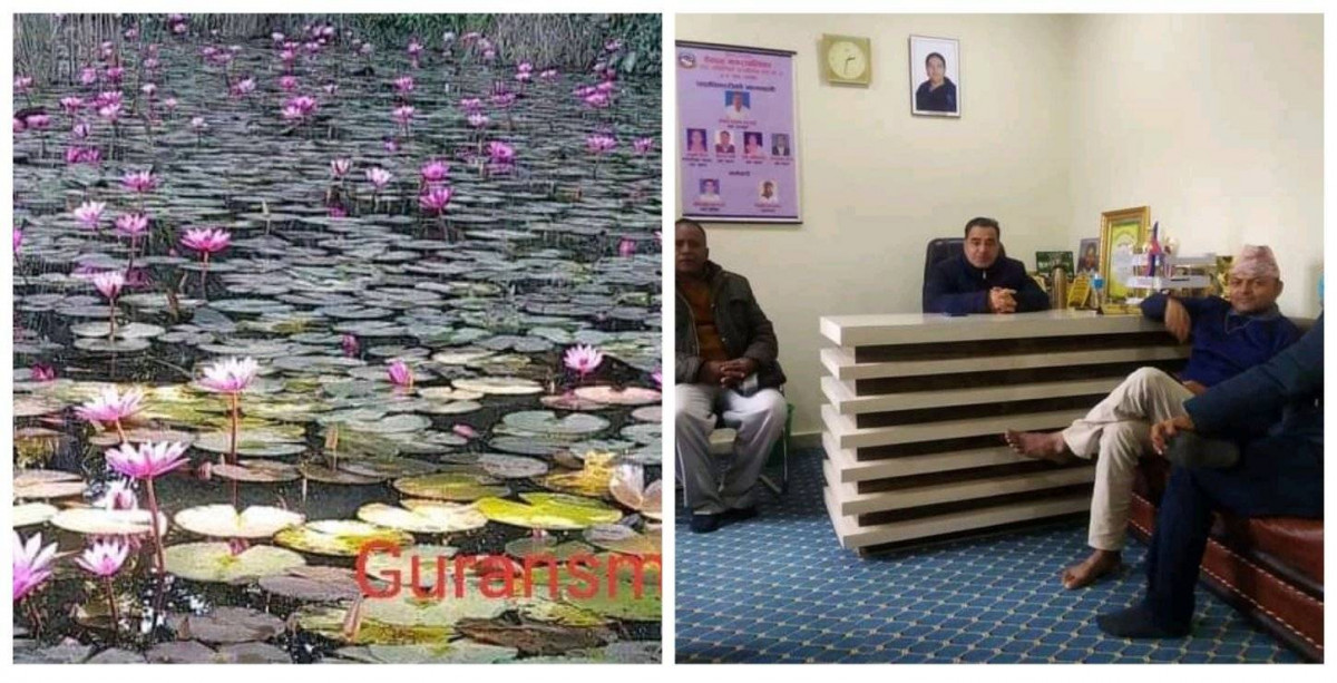 देवदहको सिमसार क्षेत्रमा मूर्तिकला कार्यशाला हुने