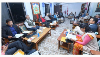 नेकपा एमालेको घोषणा पत्र अनुमोदन