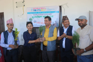 अन्तर्राष्ट्रिय युवा दिवसको अवसरमा वृक्षारोपण