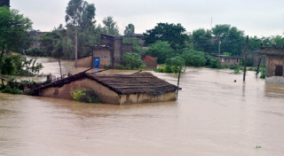 कैलालीमा अविरल वर्षापछि आएको बाढीका कारण झण्डै १५ सय घर डुबानमा