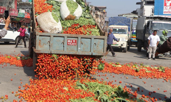 स्वदेशी तरकारीले उत्पादन अनुसारको लागत नपाए पछि .....