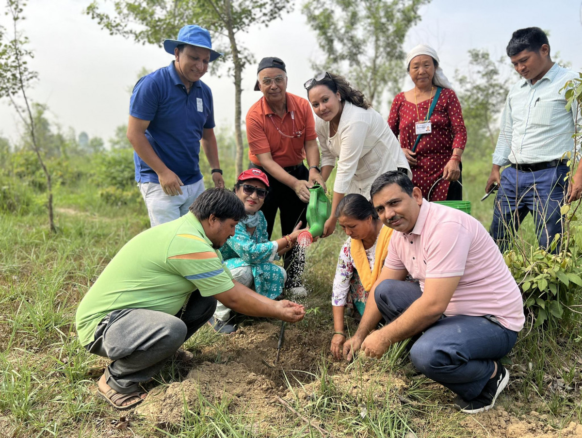 विश्व वाताबरण दिवसको अवसरमा वृक्षारोपण