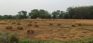 देवदहमा अब खेतियोग्य जमिनलाई बाँझो राख्न नपाईने