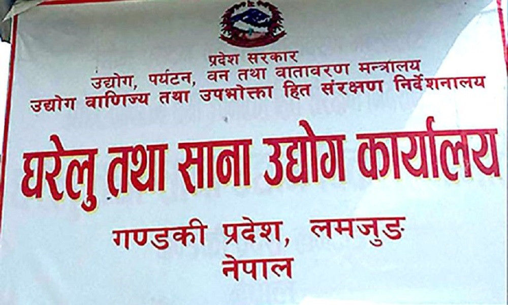 लमजुङमा एक वर्षमा दुई सय ९१ घरेलु उद्योग दर्ता