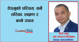 डेंगु ज्वरो : सर्ने तरिका, लक्षण र बच्ने उपाय
