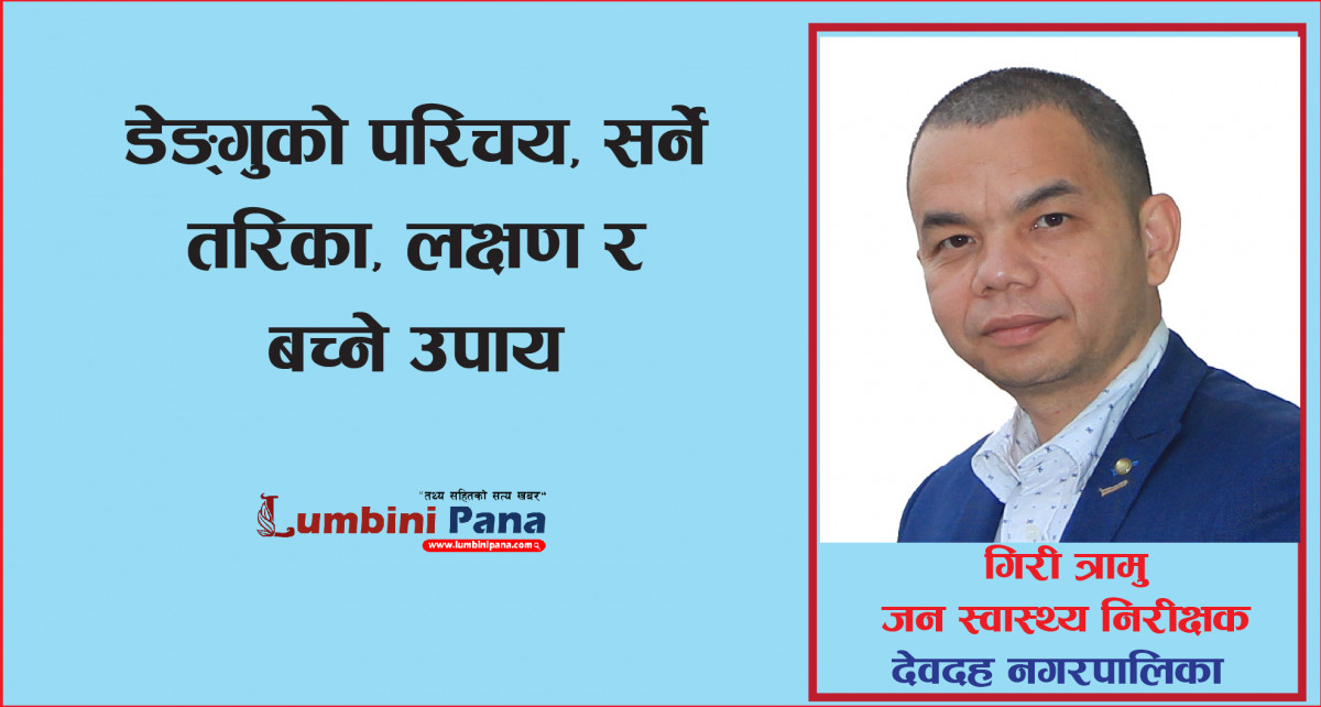 डेंगु ज्वरो : सर्ने तरिका, लक्षण र बच्ने उपाय