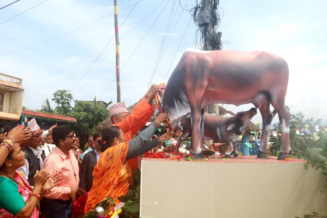 पाल्पाको रामपुरमा गाईको शालिक अनावरण