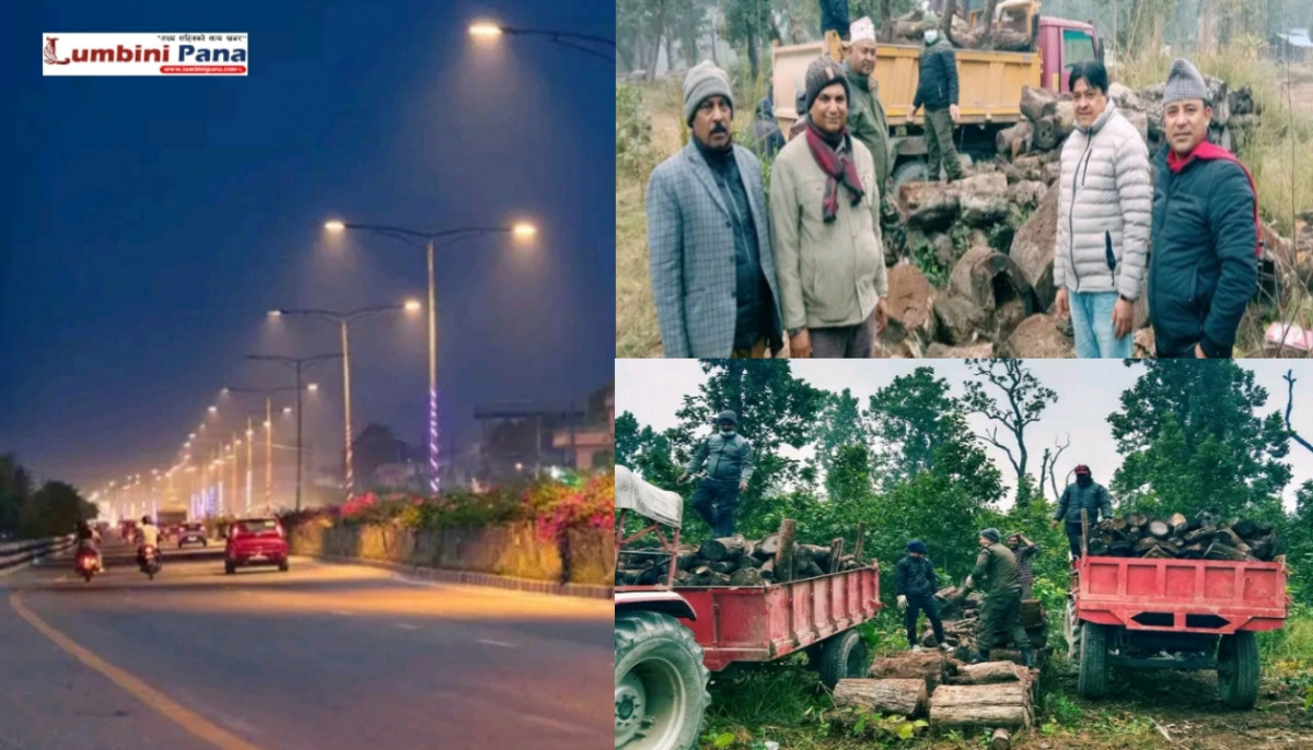 चिसो बढेपछि तिलोत्तमामा दाउरा वितरण