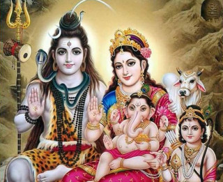 फागुन २३ गते १४ औं शिव पार्वती रथ यात्रा हुने