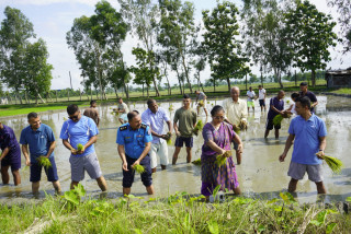 धान दिवसले किसान र कृषिलाई प्रोत्साहन गर्छ: महिला मन्त्री चौधरी
