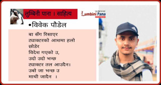 अनौको वेदना