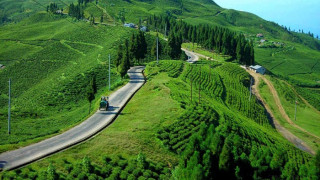 अन्तर्राष्ट्रिय बजारमा नेपाली चिया तथा कफीको माग बढ्दै