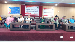 घरेलु हिंसा अन्त्यका लागि बहस पैरवी तथा सचेतनामूलक कार्यक्रम