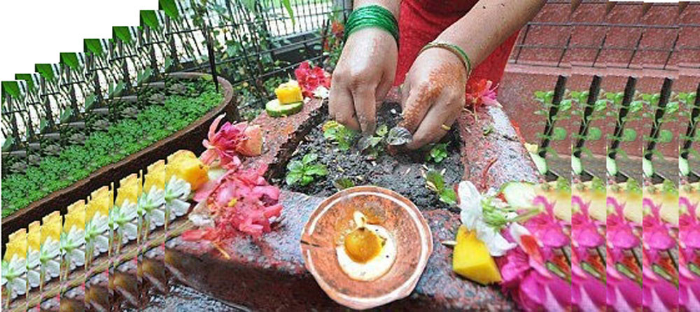 आज हरिशयनी एकादशी (तुलसी रोप्ने दिन)