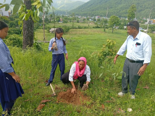 सीता माविमा ईकाे क्लबको आयोजनामा वृक्षारोपण