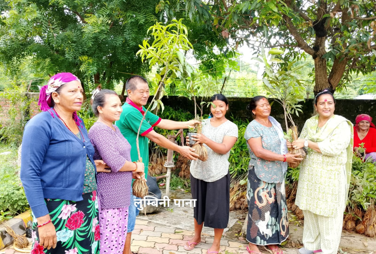 बुद्द सामुदायिक वनबाट ३ हजार बढी विरुवा वितरण
