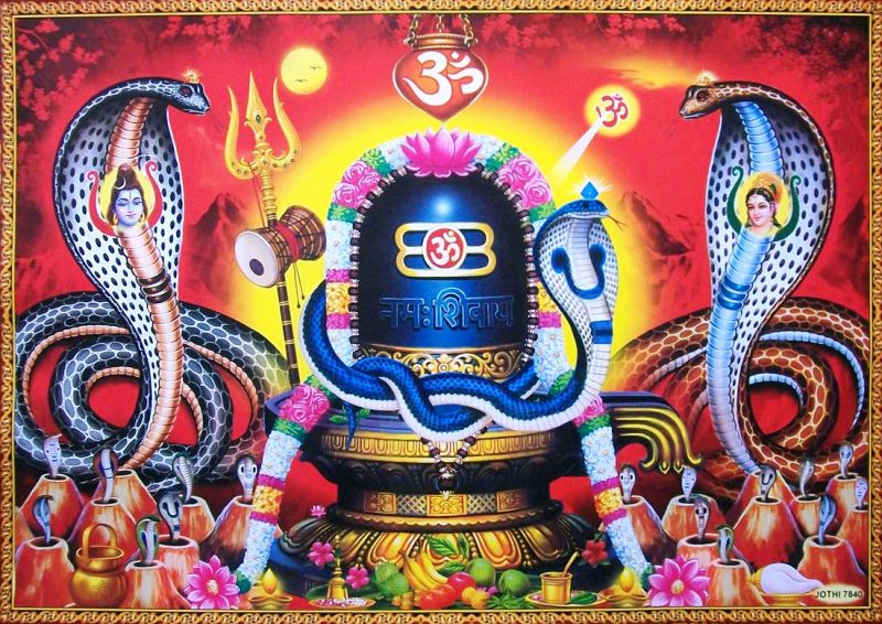 आज नाग पञ्चमी, यस्तो छ विशेषता