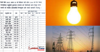 देवदहको भलुहीमा अचानक हाई भोल्टेज प्रवाह भएपछि...
