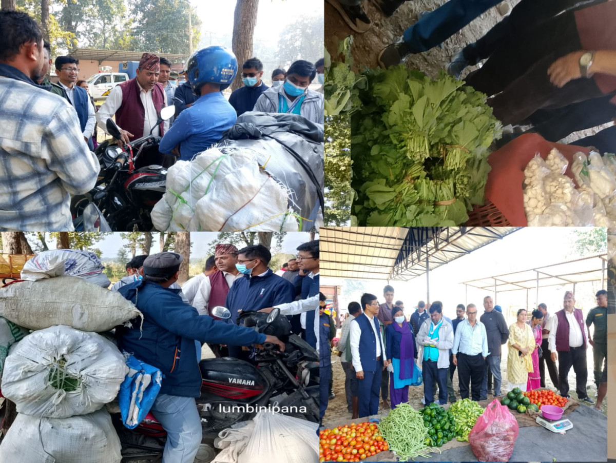 रायो सागमा भेटियो विषादी, ४८ घण्टाको लागी क्वारेन्टाइनमा पठाइयो