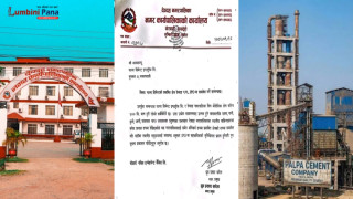पाल्पा सिमेन्टको आइपिओमा देवदहलाई पनि प्रभावित क्षेत्रमा समावेश गर्न नगरपालिकाको ध्यानाकर्षण