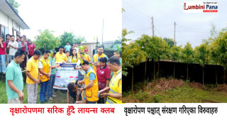 वृक्षारोपणसँगै बिरुवा हुर्काउने अभियानमा लायन्स क्लब